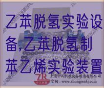 乙苯脱氢实验设备,乙苯脱氢制苯乙烯实验装置(图1)
