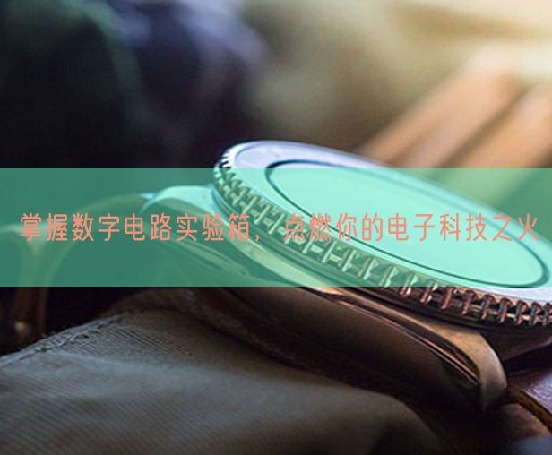 掌握数字电路实验箱，点燃你的电子科技之火(图1)