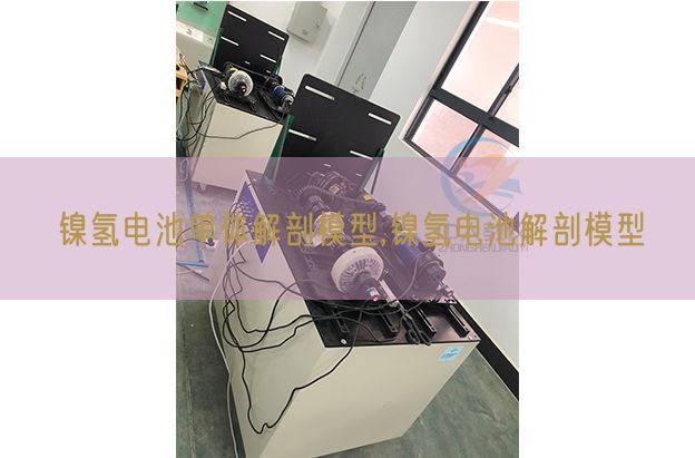 镍氢电池单体解剖模型,镍氢电池解剖模型(图1)